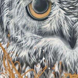 Gros yeux 30&Prime;x48&Prime;