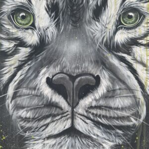 Tiger 30&Prime;X48&Prime;